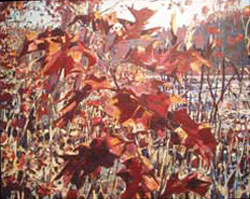 Algonquin Art Gallery